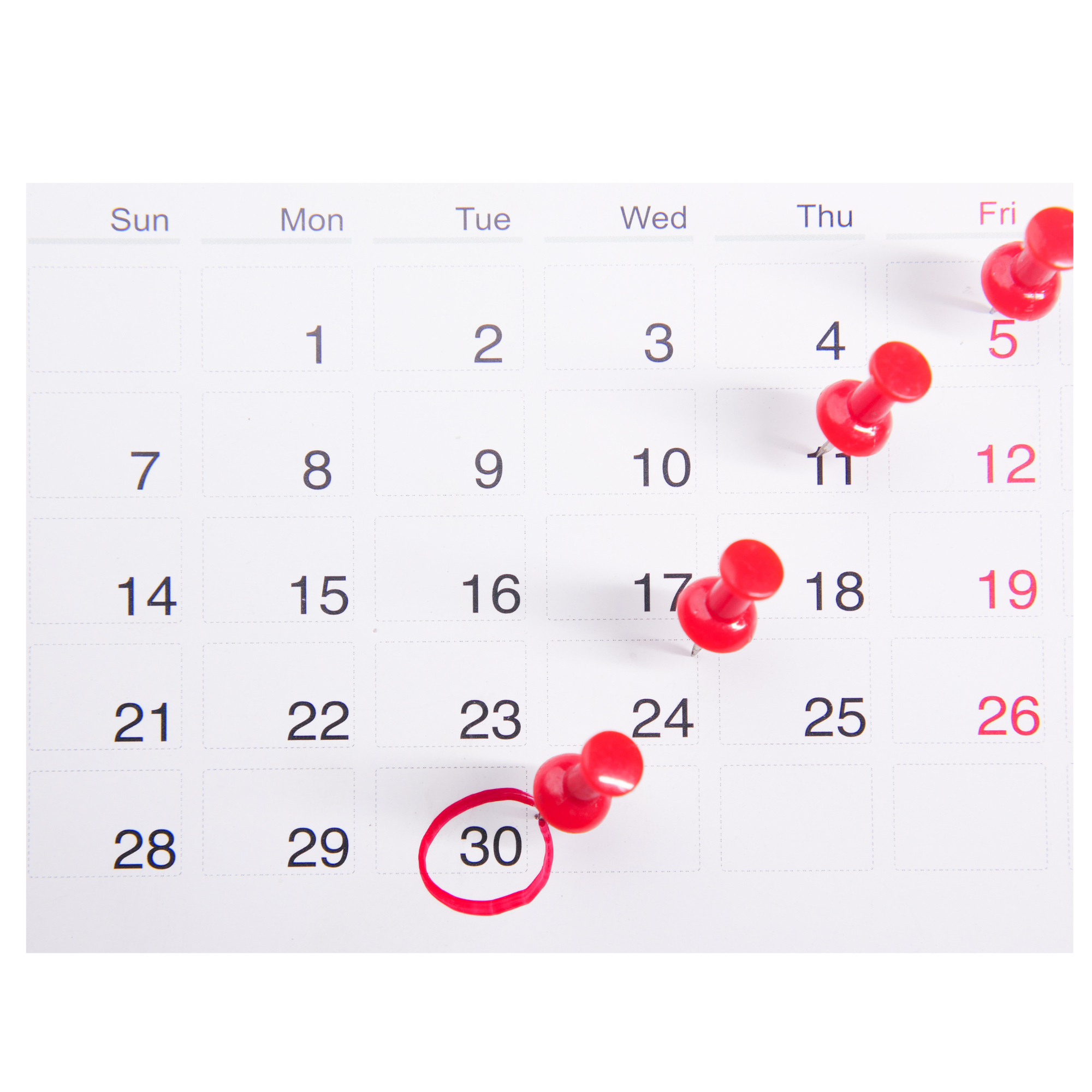Business Manager Booking Calendar